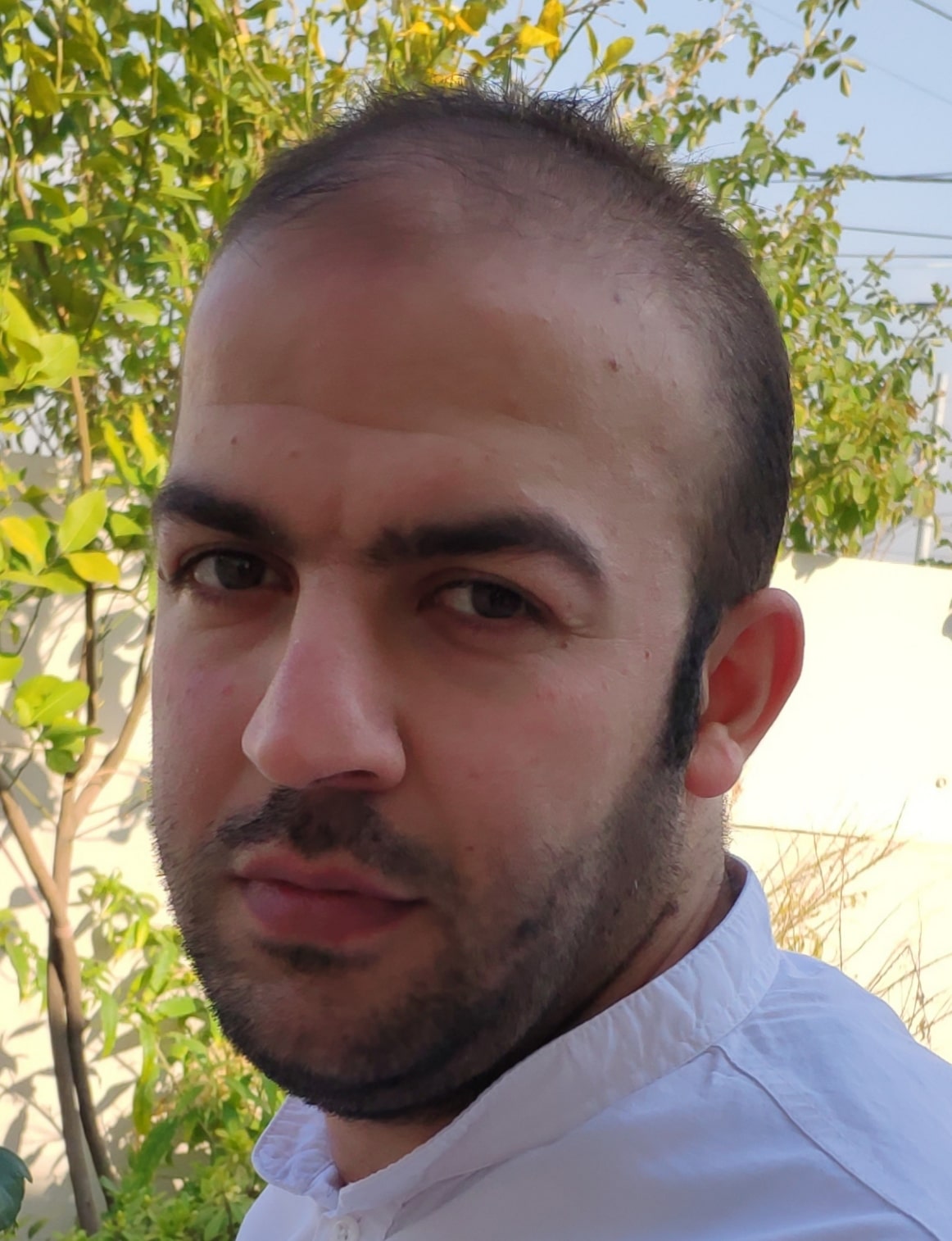 محمد سلیم صدیق