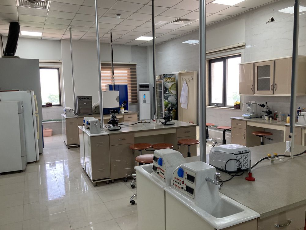 Knowledge University, Medical Laboratory Science Department, Microbiology Lab