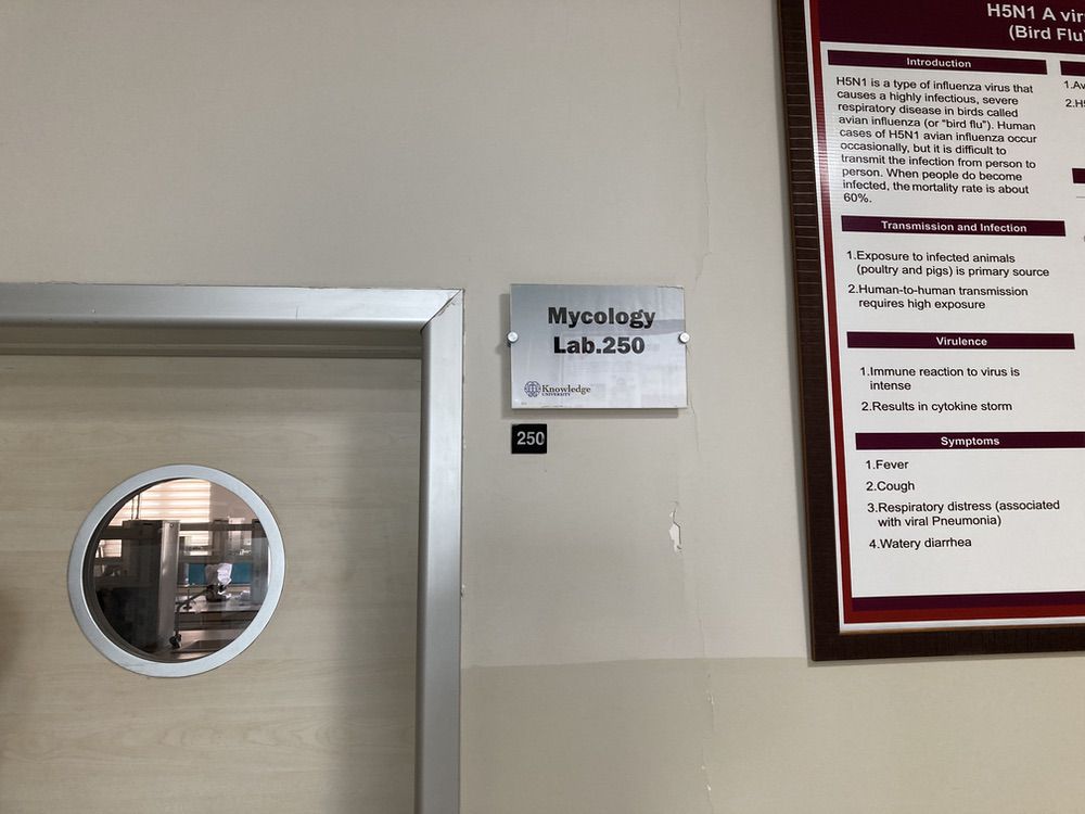 Knowledge University, Medical Laboratory Science Department, Mycology Lab