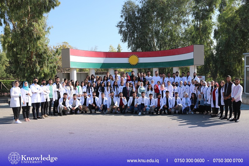 The International Diabetes disease day