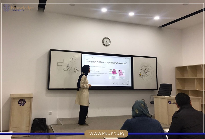 Cancer pain seminar