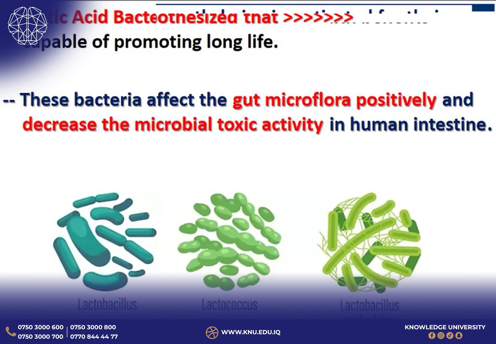 International Online Workshop on Probiotics Conducted by Knowledge University