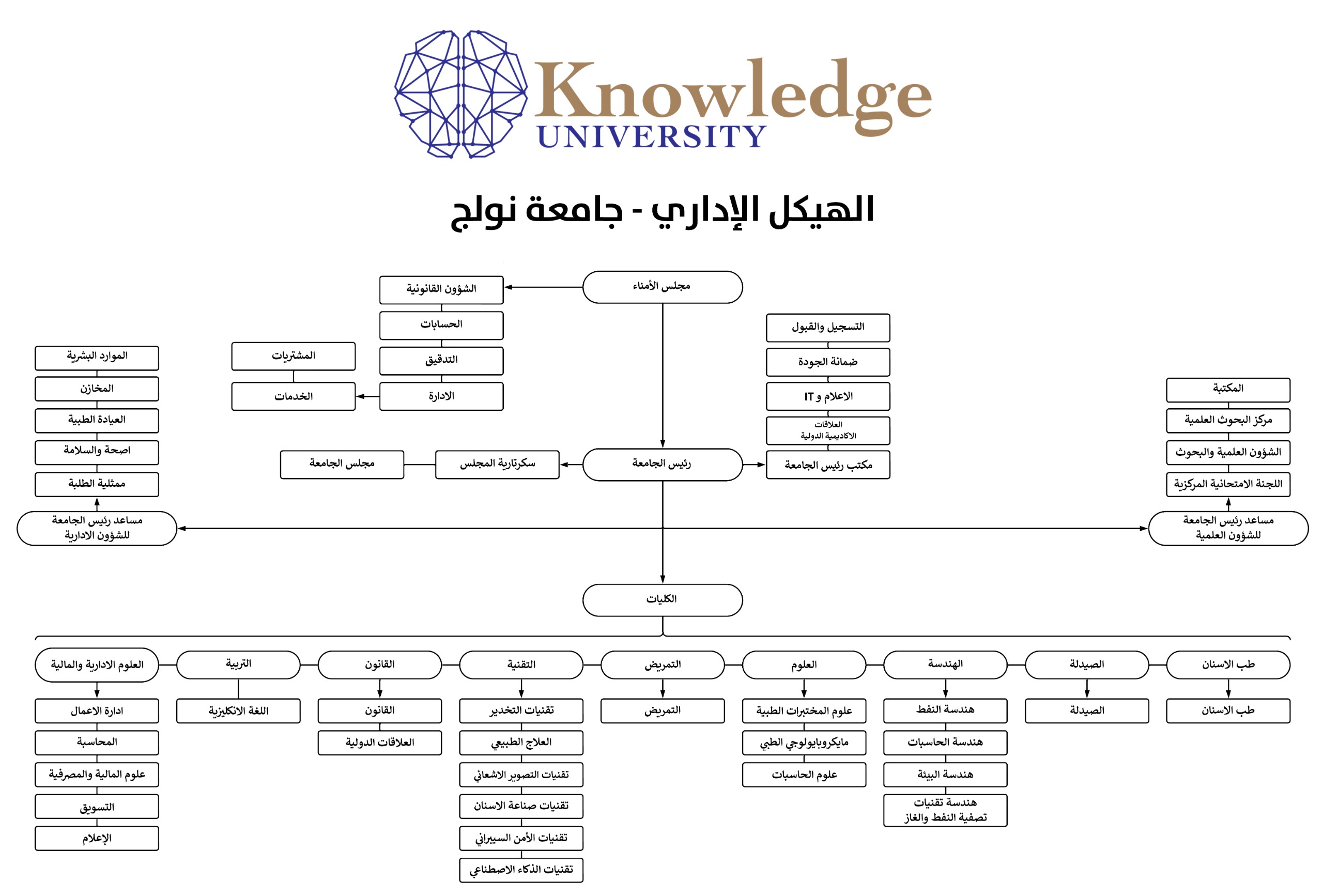 Knowledge University Organizational Structure