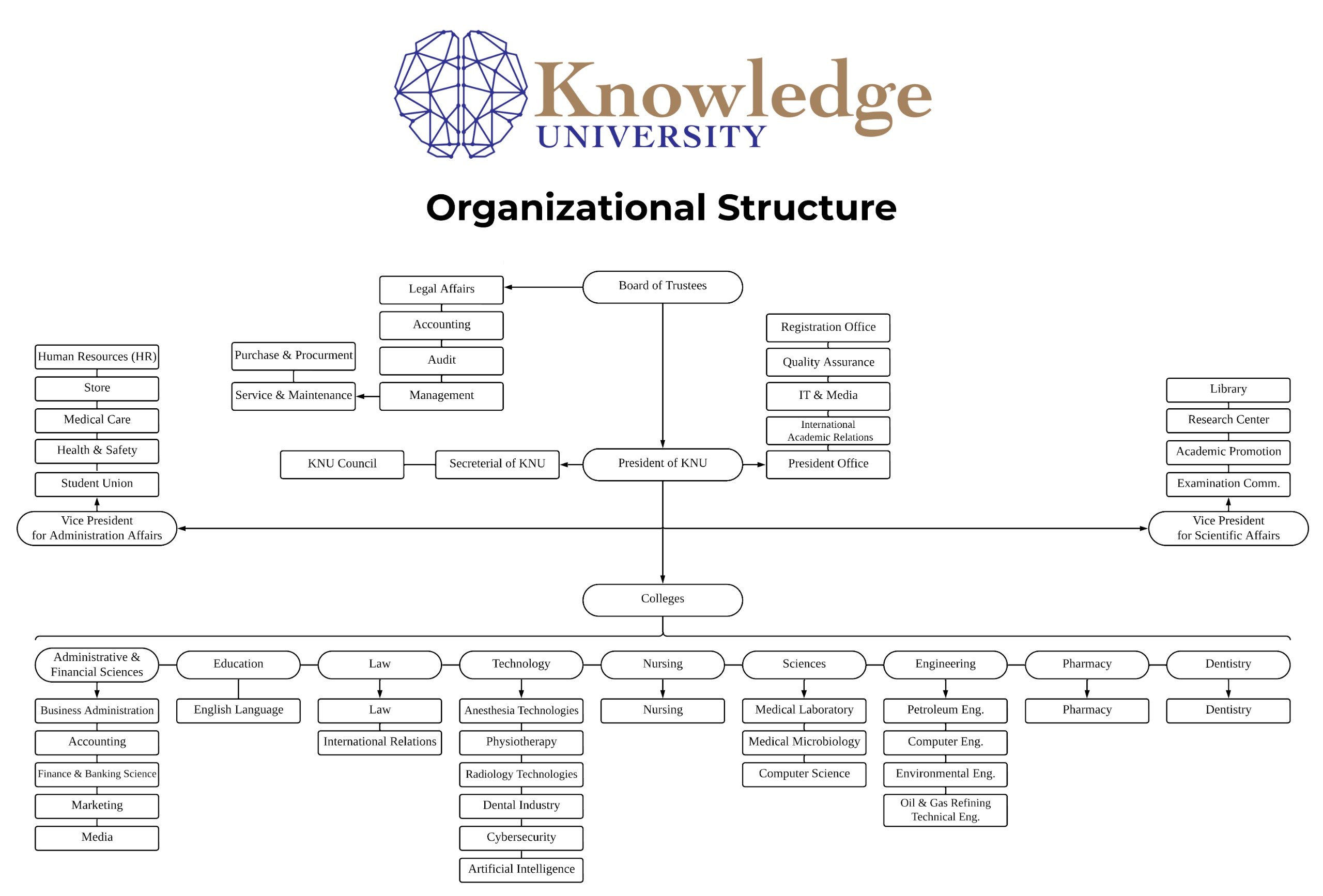 Knowledge University Organizational Structure