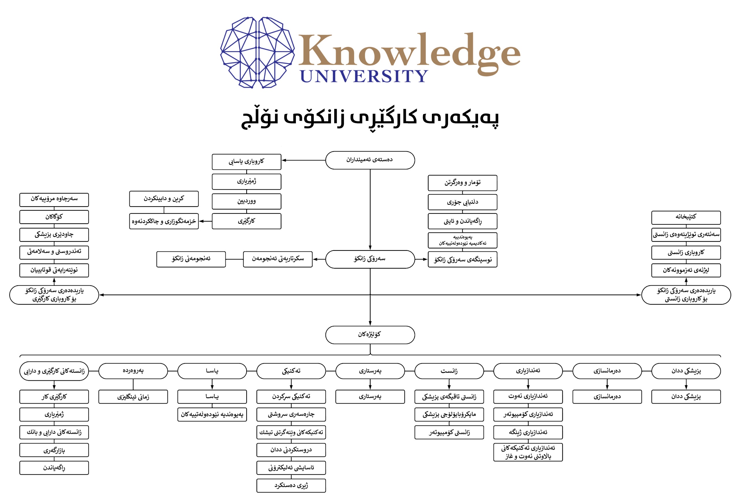 Knowledge University Organizational Structure